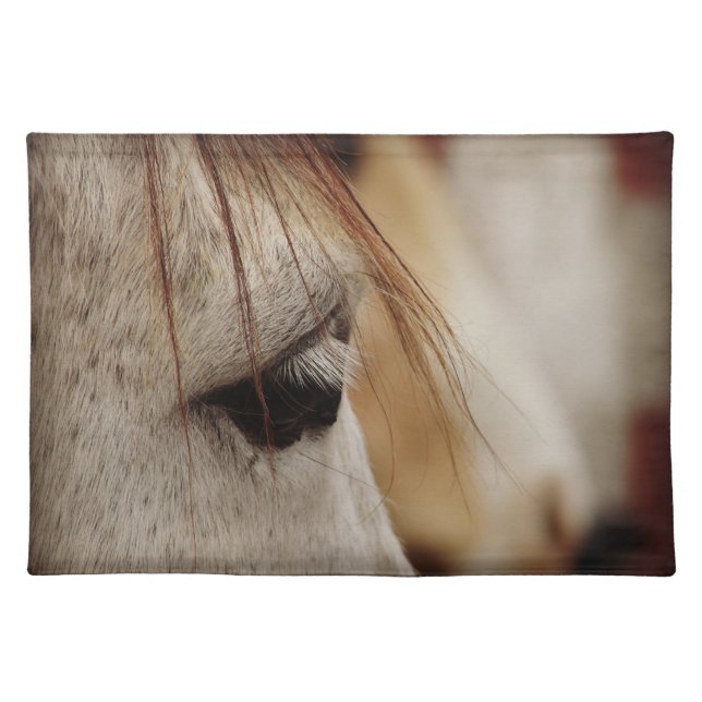 Gray Horse Cloth Placemat (Front)