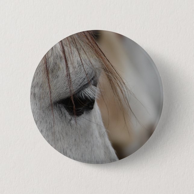 Gray Horse Eye Pinback Button (Front)