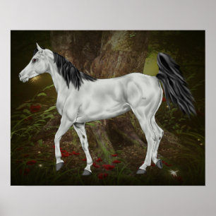 Gray Horse in Enchanted Forest  Poster