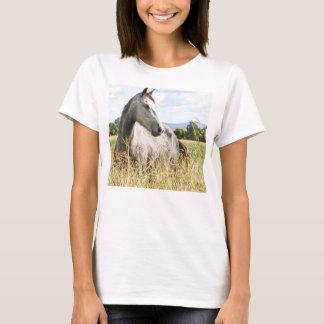 Gray Horse in Paddock Long Sleeve Ladies T-Shirt