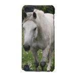 Gray Horse iTouch Case