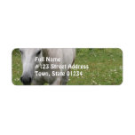 Gray Horse  Mailing Labels