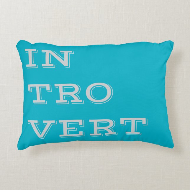 Gray Introvert Accent Pillow (Front)