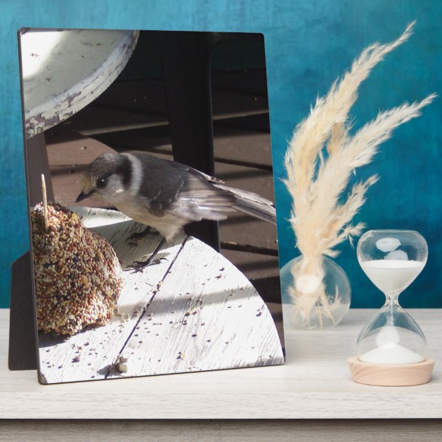 Gray Jay and Bell Photo Plaque (Side)