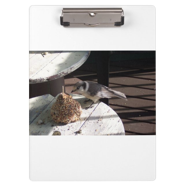 Gray Jay and Bell White Clipboard (Front)
