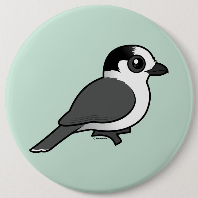 Gray Jay Pinback Button (Front)