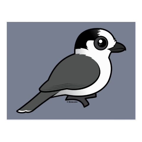 Birdorable Canada Jay Postcard 