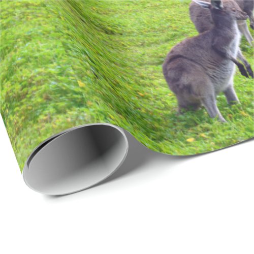 Gray Kangaroos On Green Grass Wrapping Paper
