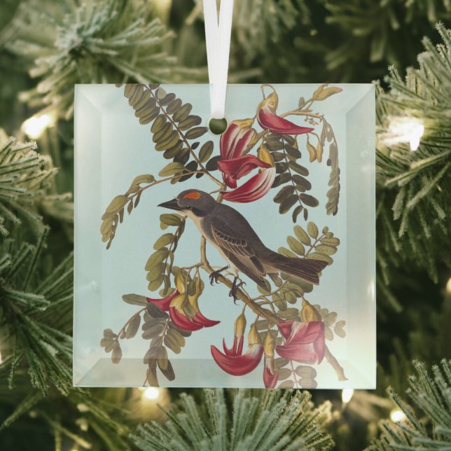 Gray Kingbird Audubon Bird on Flowering Tree Glass Ornament (Insitu)
