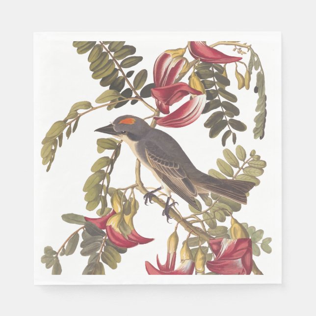 Gray Kingbird Audubon Bird on Flowering Tree Napkins (Front)