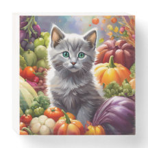 Gray Kitten and Vegetables