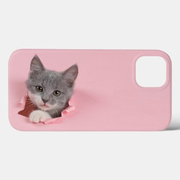 Gray Kitten Iphone 13 Case by FantasyCases at Zazzle