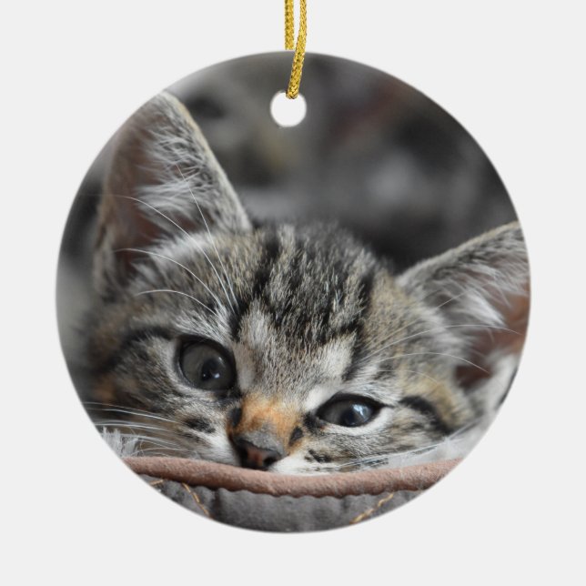 Gray Kitten Ceramic Ornament (Front)