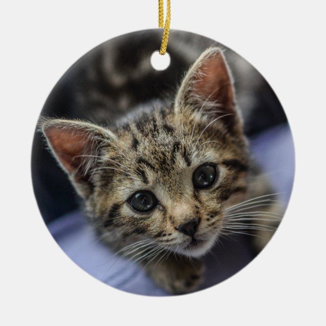 Gray Kitten Ceramic Ornament (Front)