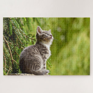Gray Kitten Cute Cat in Nature Jigsaw Puzzle