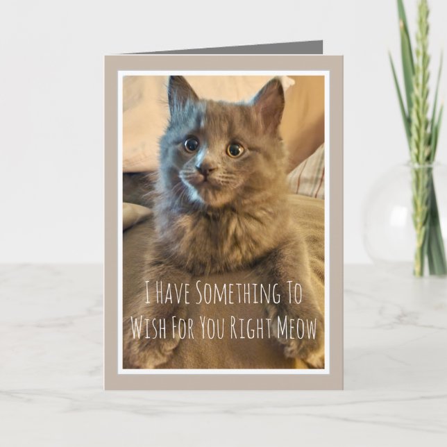 Gray Kitten Funny Birthday Card From the Cat (Front)