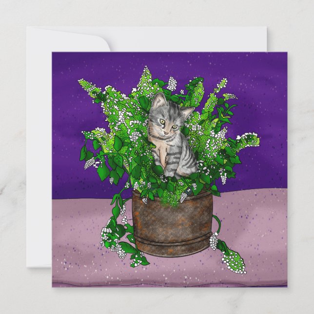 Gray Kitten in Bucket of Catnip   Thank You Card (Front)