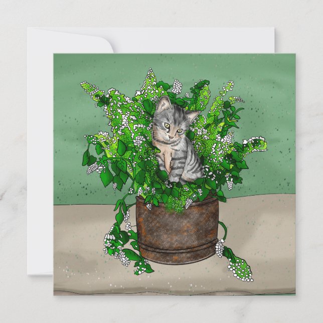 Gray Kitten in Bucket of Catnip  Thank You Card (Front)