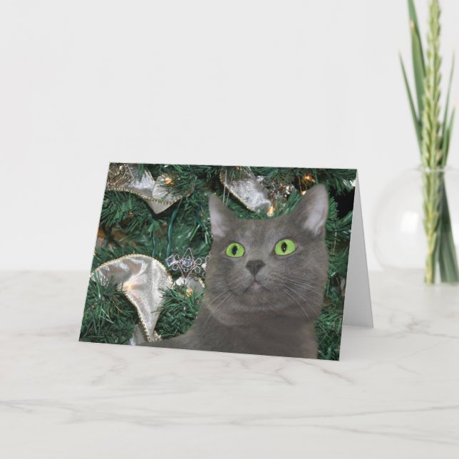 Gray kitty Christmas Holiday Card (Front)