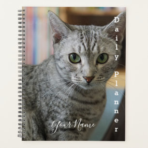 Gray Kitty - Daily Planner- HAMbWG Planner