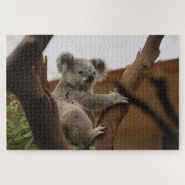 Gray koala bear on a tree jigsaw puzzle (Horizontal)