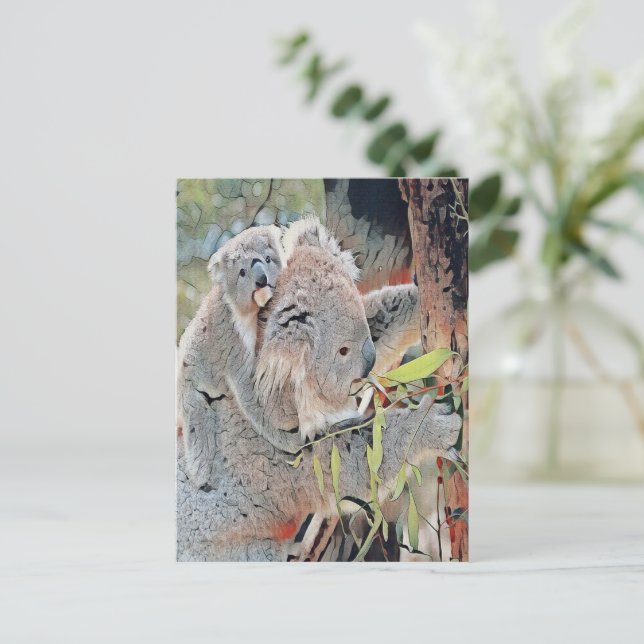 Gray koala bears postcard (Standing Front)