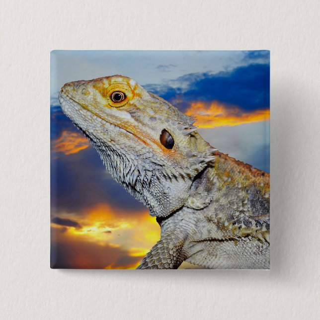 Gray Lizard at sunset Button (Front)