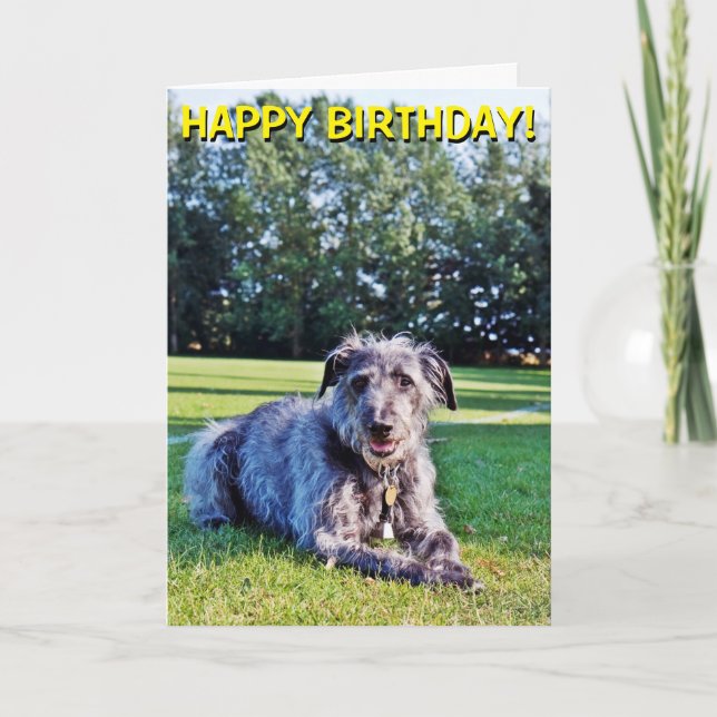 Gray lurcher customizable greetings card (Front)