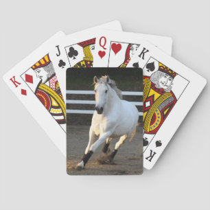 Gray Lusitano at Liberty Playing Cards