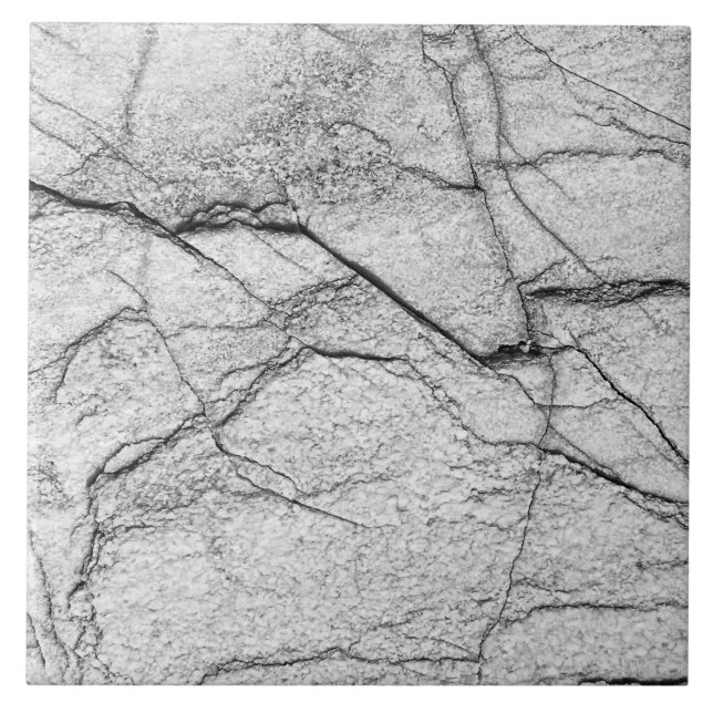 Gray Marble Dappled Concrete Ceramic Tile (Front)