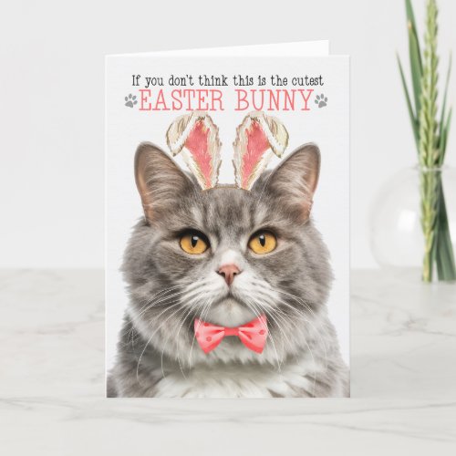 Gray Marbled Tabby Cat in Bunny Ears for Easter Holiday Card