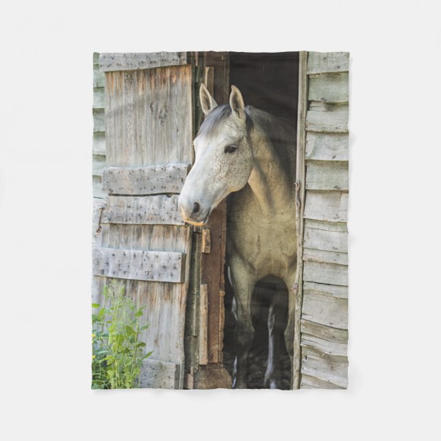 Gray Mare and Barn Horses Fleece Blanket (Front)