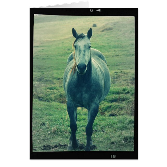 Gray Mare Cards (Front)