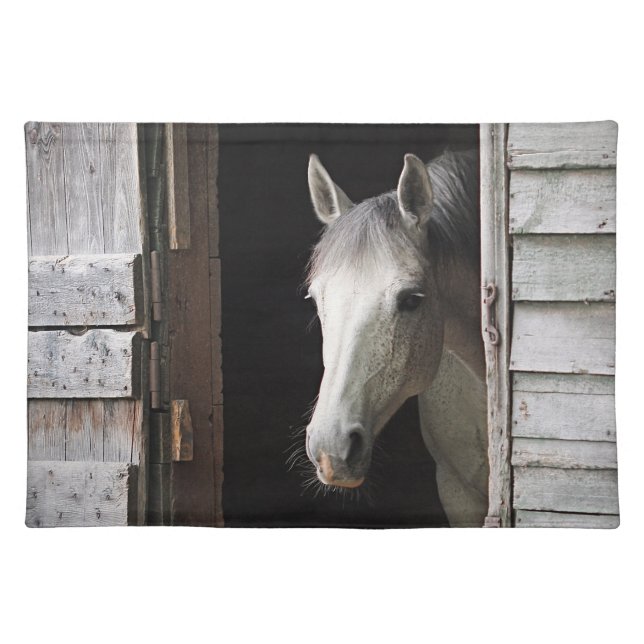 Gray Mare Horse Animals Cloth Placemat (Front)