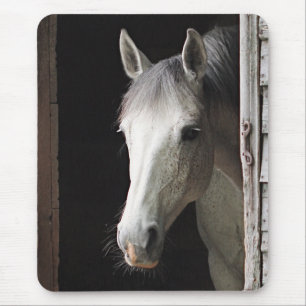 Gray Mare Horse Animals Mousepad