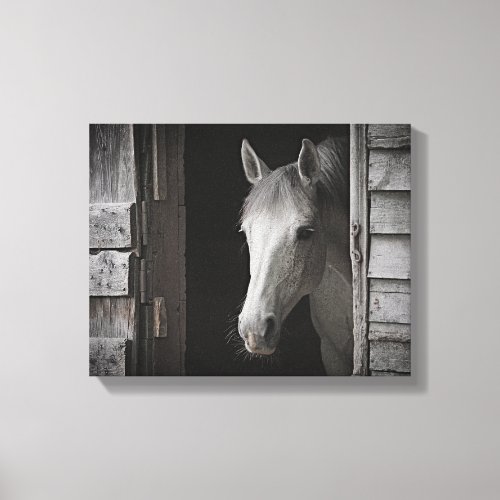 Gray Mare Horse BW HORSES Wrapped Canvas