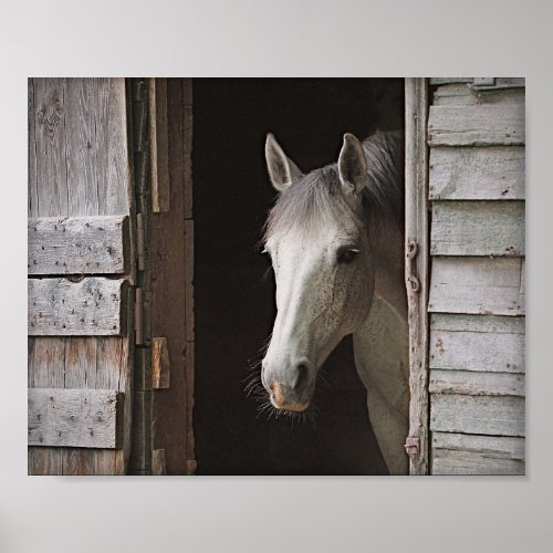Gray Mare Horse  Barn Archival Poster