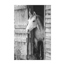 Gray Mare Horse &amp; Barn Black and White Canvas Print