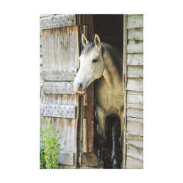 Gray Mare Horse &amp; Barn Rustic Canvas Print
