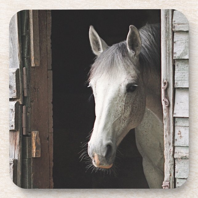 Gray Mare Horse Beverage Coaster (Front)