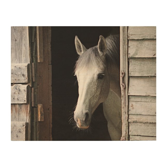 Gray Mare Horse Farm Animals Wood Wall Art (Front)