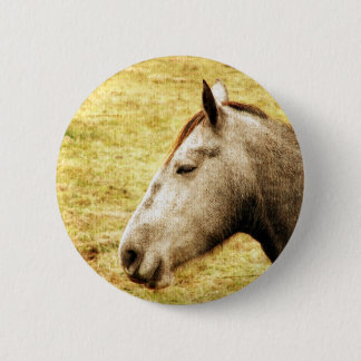 Gray Mare Pinback Button