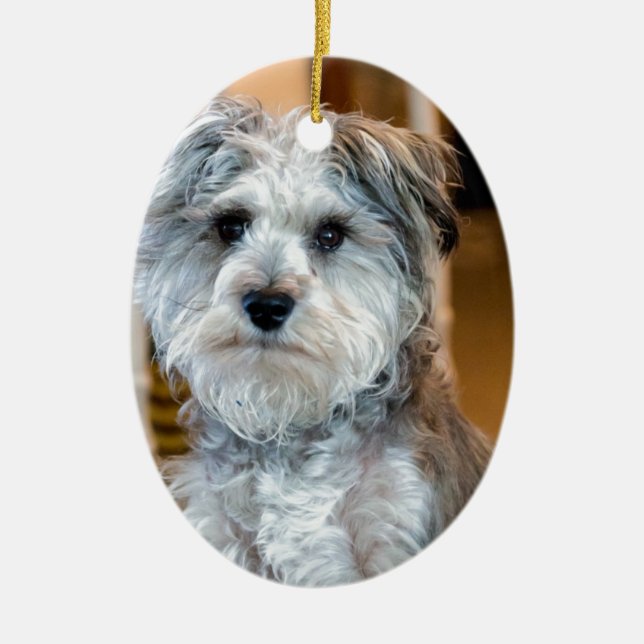 Gray Miniature Schnauzer Ceramic Ornament (Front)