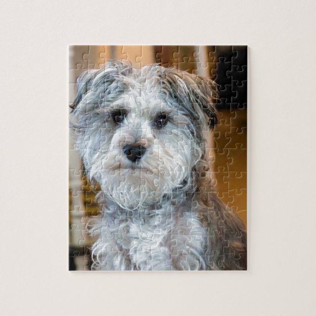 Gray Miniature Schnauzer Jigsaw Puzzle (Vertical)