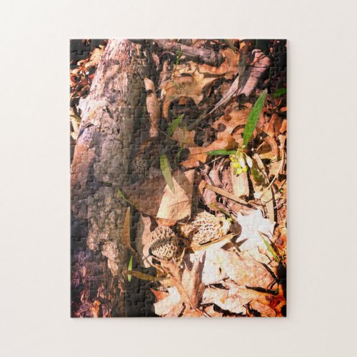 Gray Morel Patch Jigsaw Puzzle