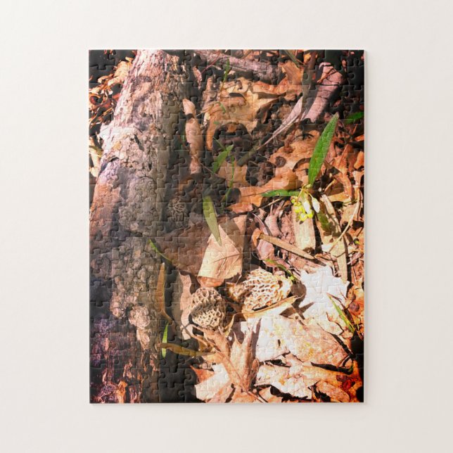 Gray Morel Patch Jigsaw Puzzle (Vertical)