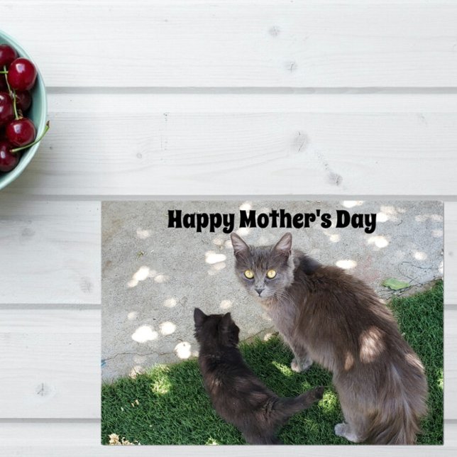Gray Mother Cat & Black Kitten Happy Mother's Day Card (Creator Uploaded)