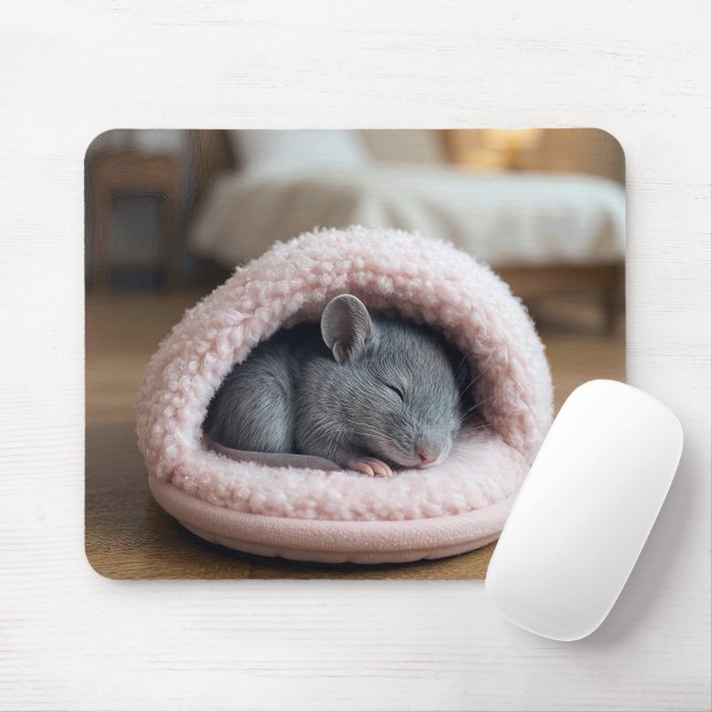 Gray Mouse Sleeping in a Pink Slipper Pad (With Mouse)