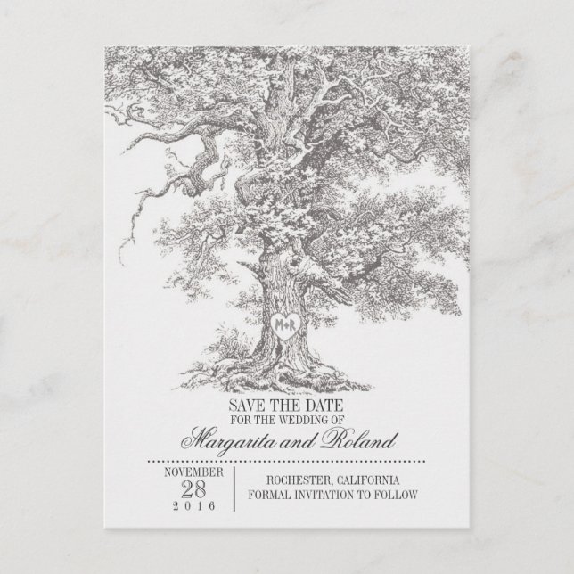 gray old oak tree save the date postcards (Front)