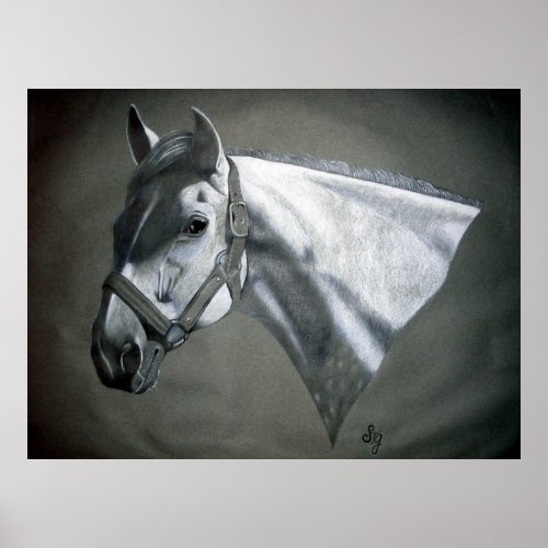 Gray on Grey Equine Art Poster